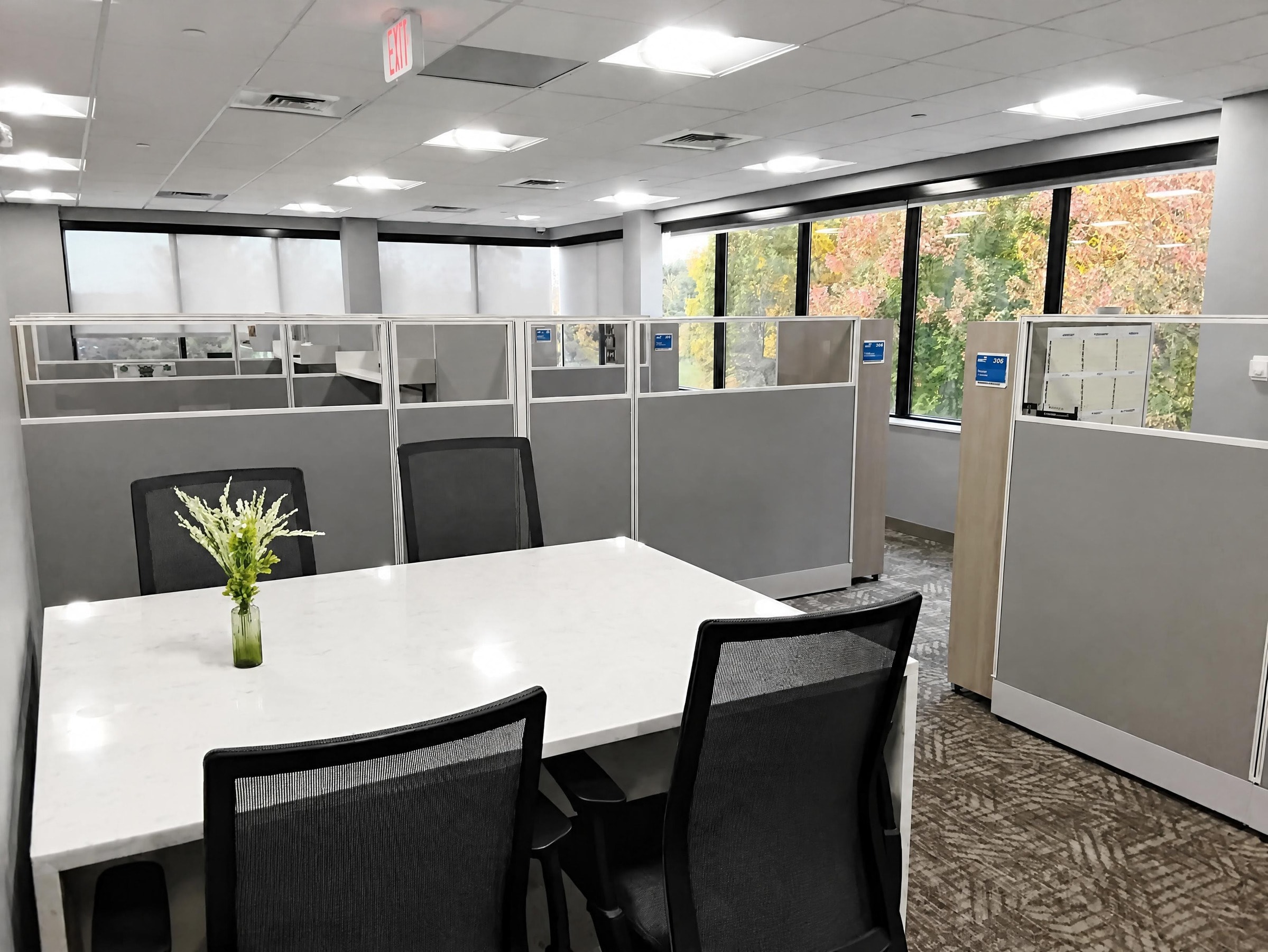 Open Office Area